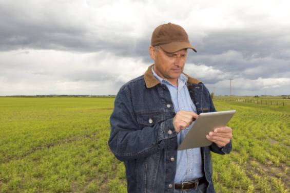 tablet in field