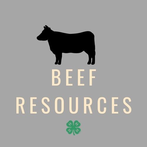 Beef Resources