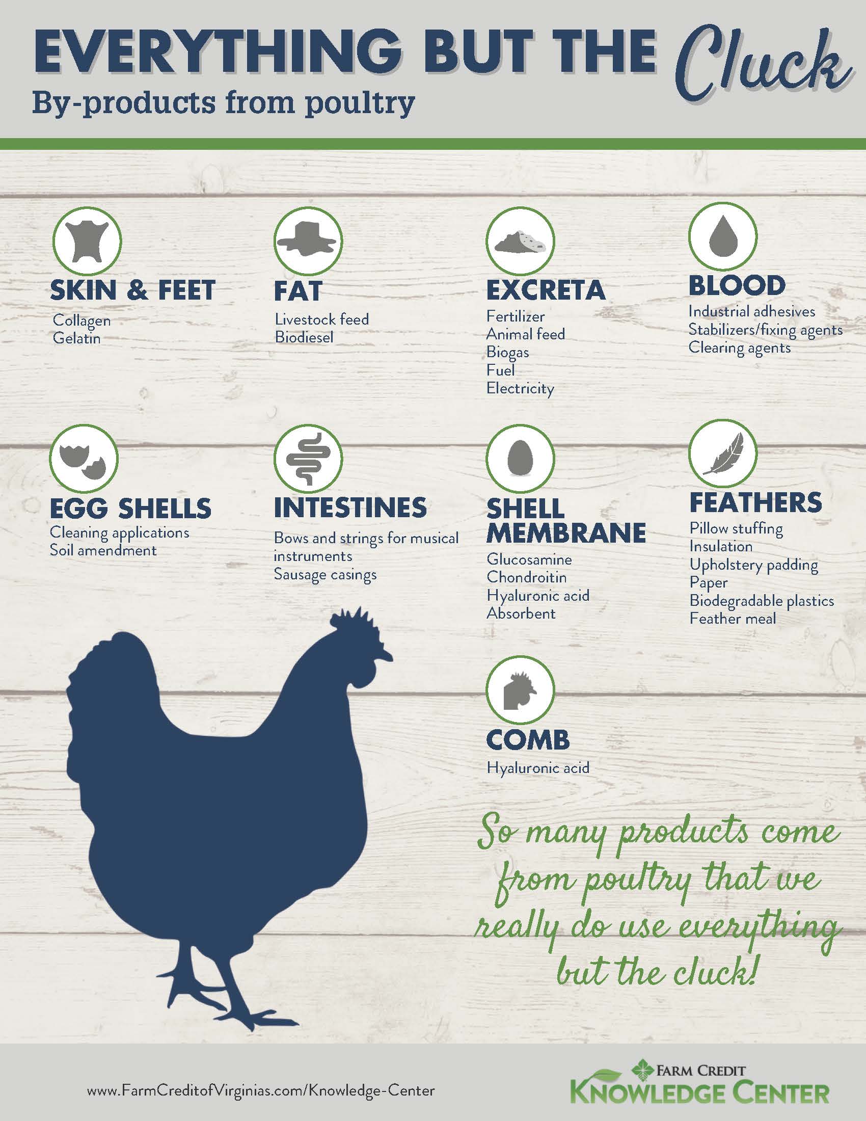 Everything But the Cluck