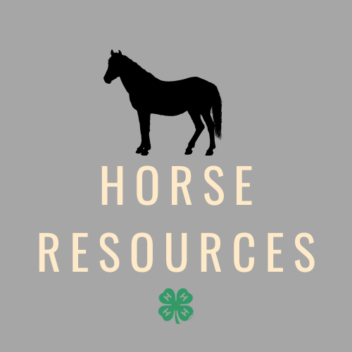 Horse project icon