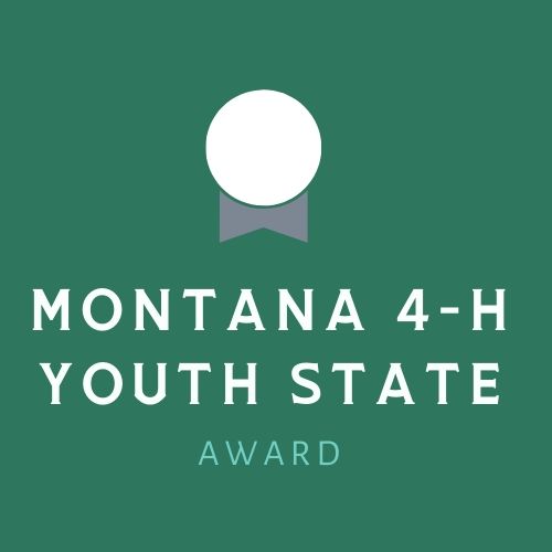 Montana 4-H Youth State Award