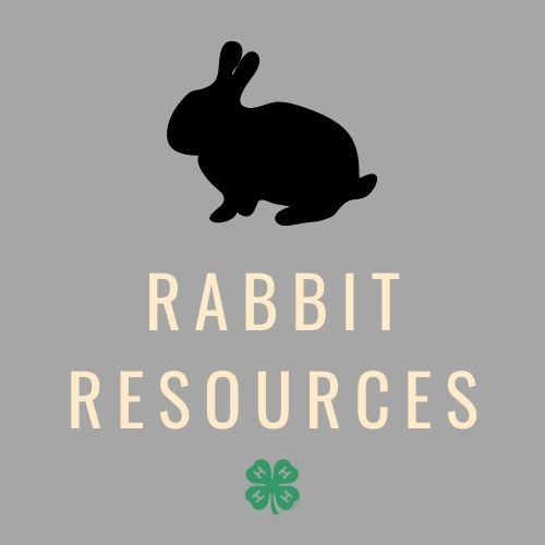 rabbit resources