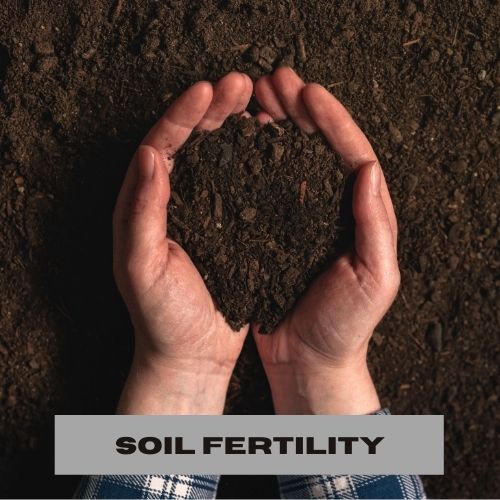 SOIL FERTILITY