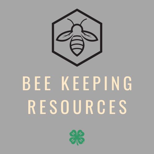 bee keeping icon