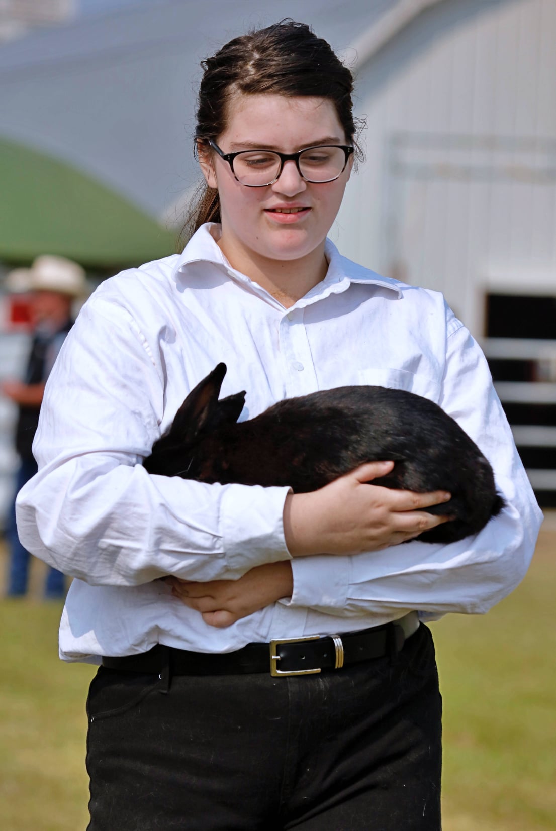 rabbit