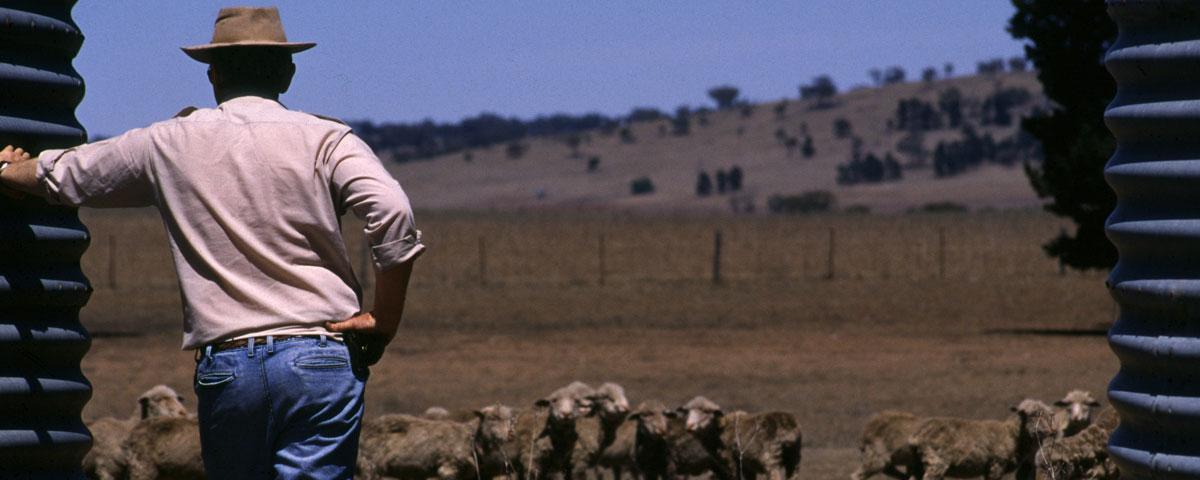 farm and ranch stress pictured