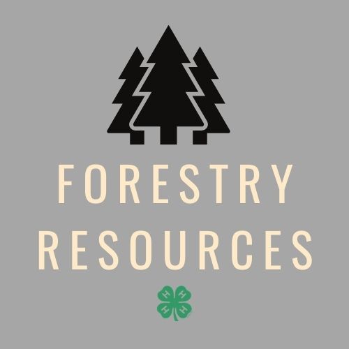 forestry 