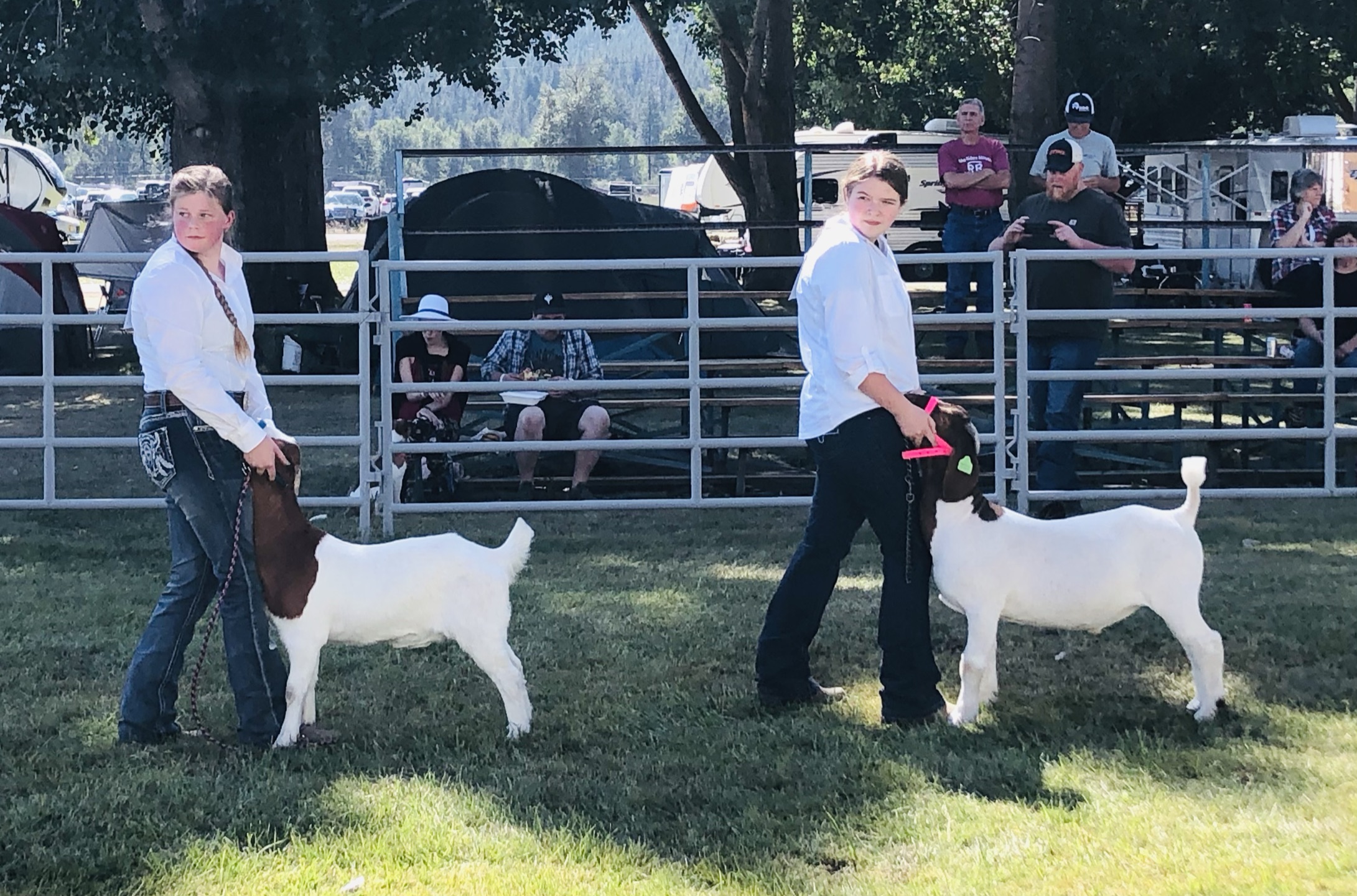 savana and sydnee with goat