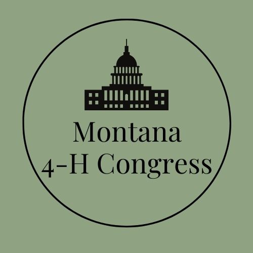 4h congress icon