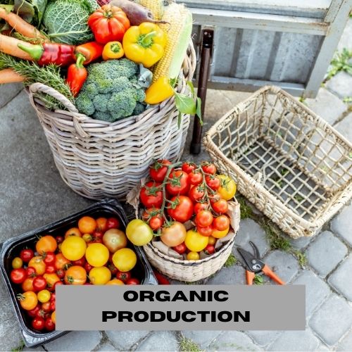 organic production new