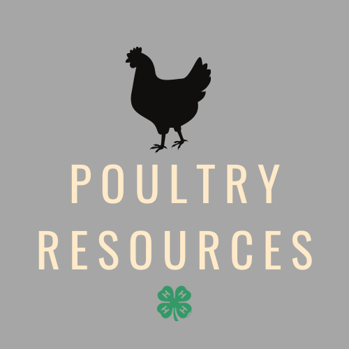 poultry resources icon