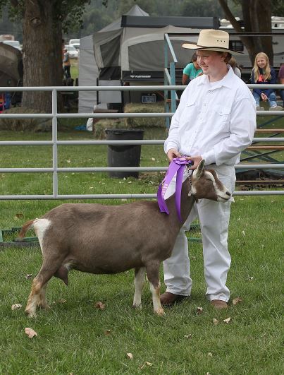 presley with goat