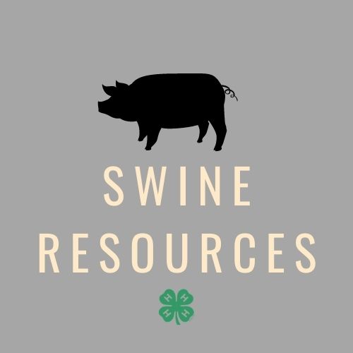 swine resources