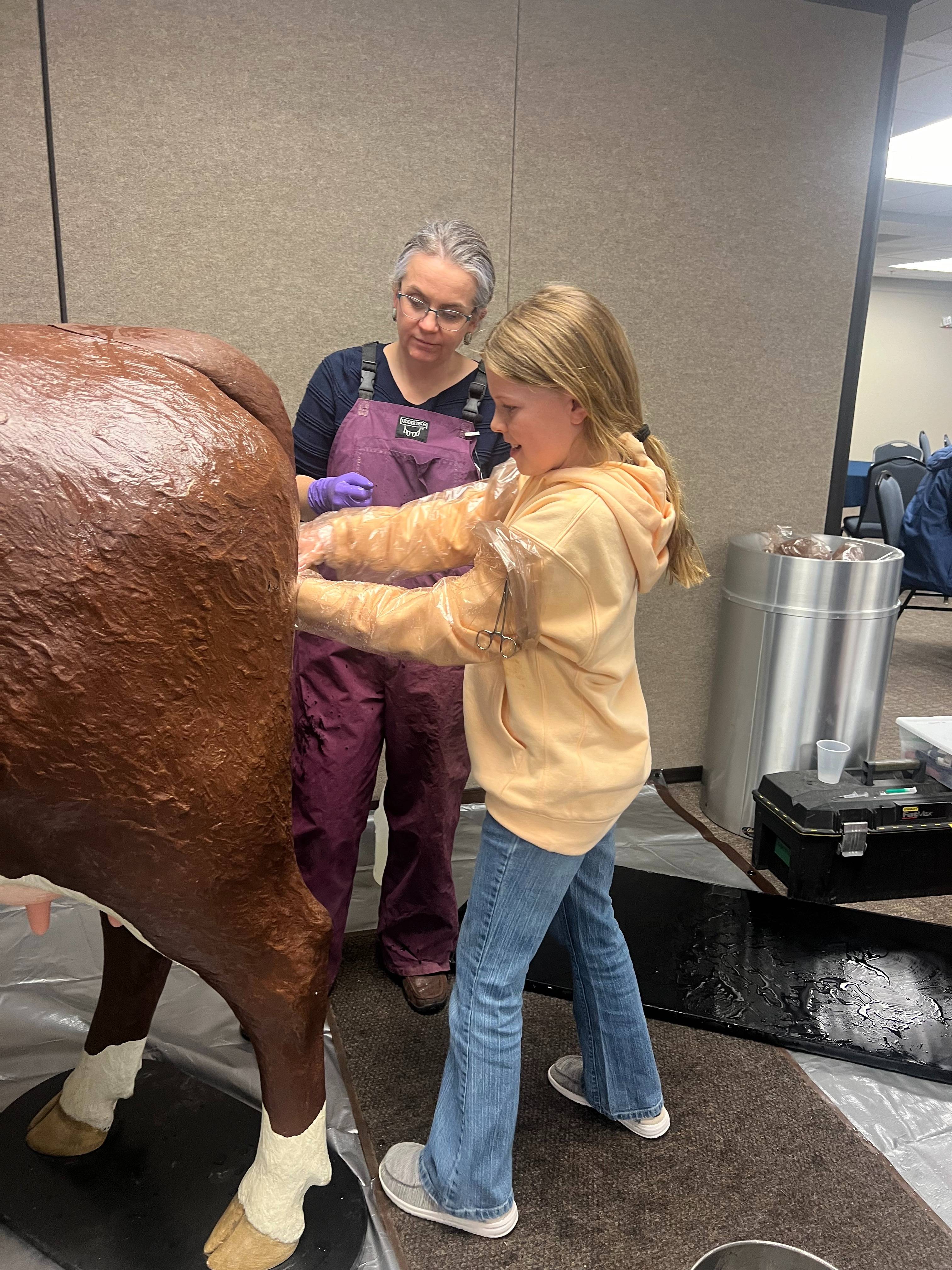 4H Member Practices Pulling a Calf