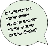 New to market animal?