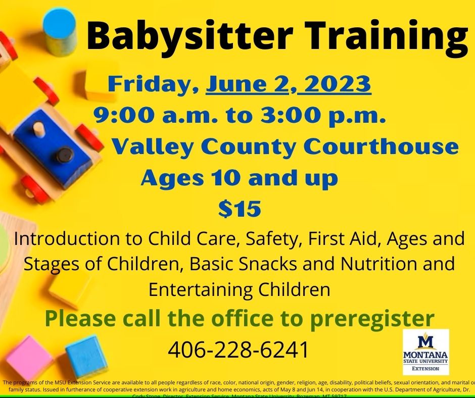 Babysitter Training poster