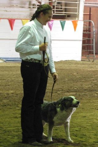 Exhibitor ith dog on lease