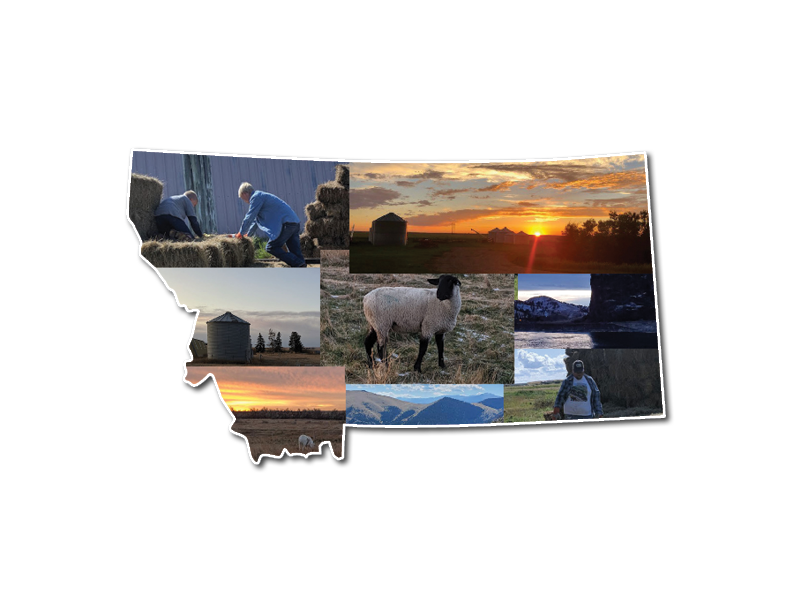 Montana Farmer Collage