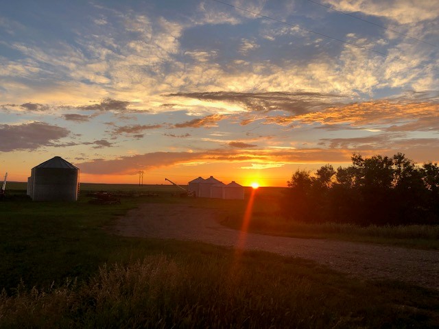 tyler farm choteau mt