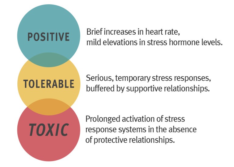 What is toxic stress?