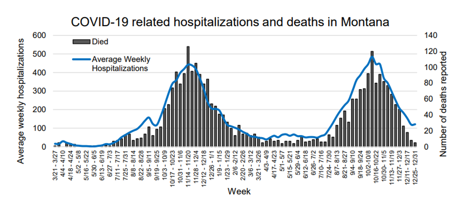 Covid-19 hospitalizations and deaths graph