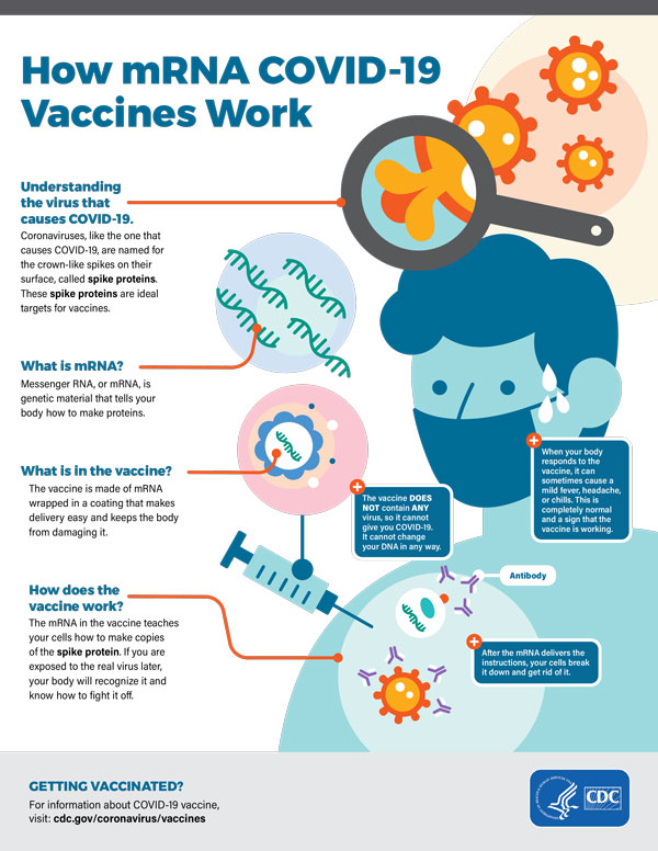 Image of infographic explaining how COVID-19 mRNA Vaccines Work by the CDC