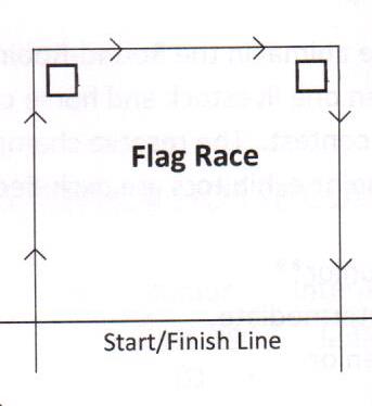 Flag Race