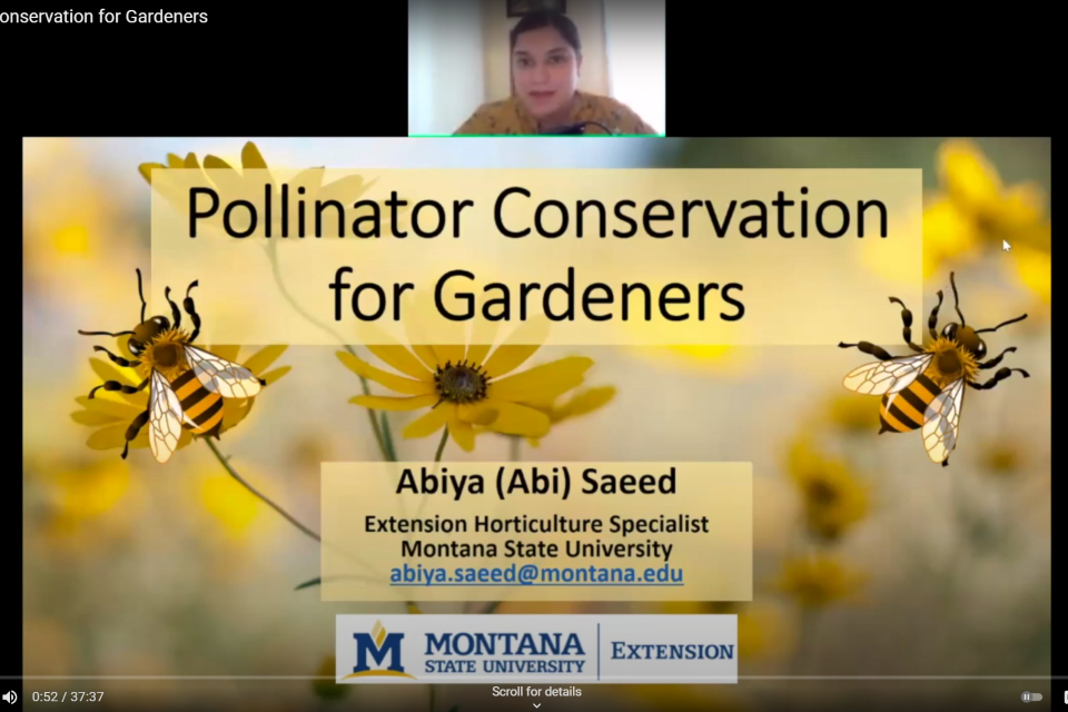 Picture of a slideshow with the title: Pollinator Conservation for Gardeners.