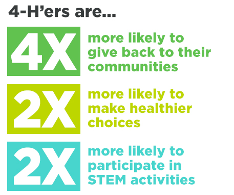 Graphic with statistics of 4-H member participation