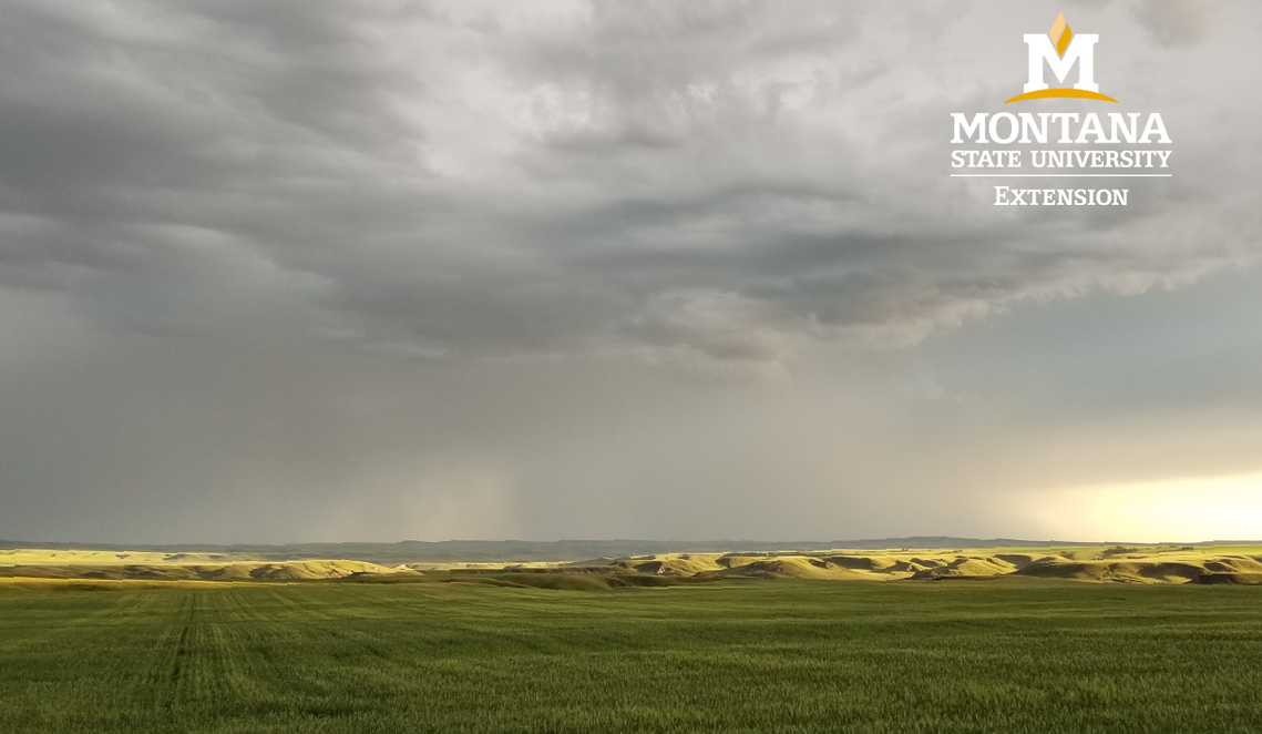 Storm on the plains with MSU Extension logo