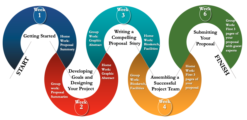 Graphic syllabus