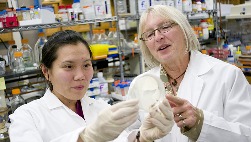 Researchers in a lab