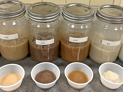 lab fermented beverage trials
