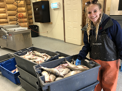 a MTP2 intern processes fish with a Montana food business