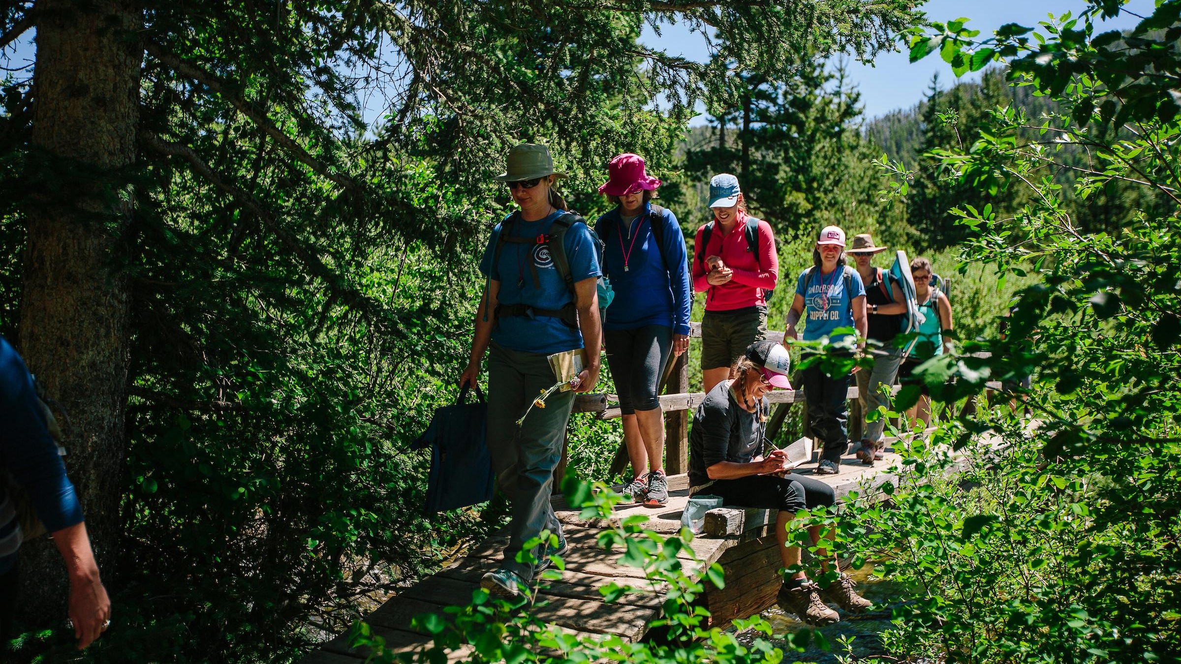 Students walking together in the woods.