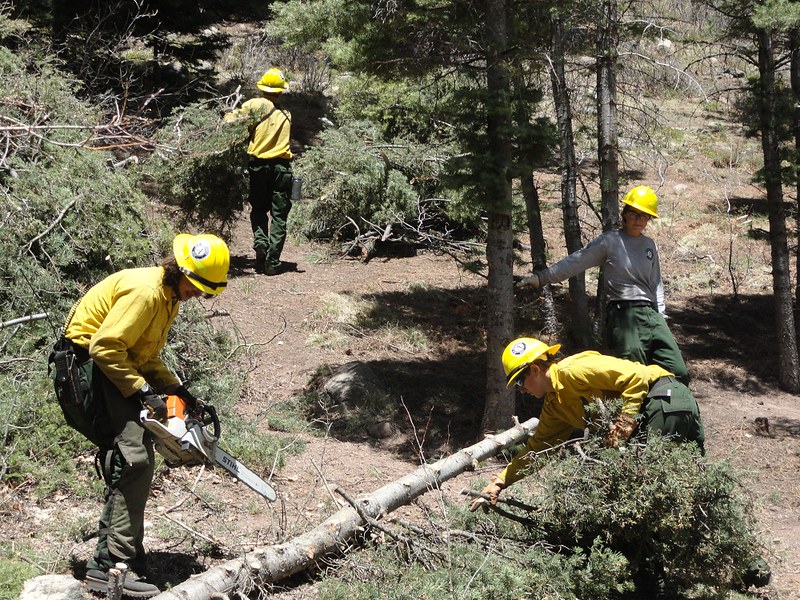 AmeriCorp service in forestry