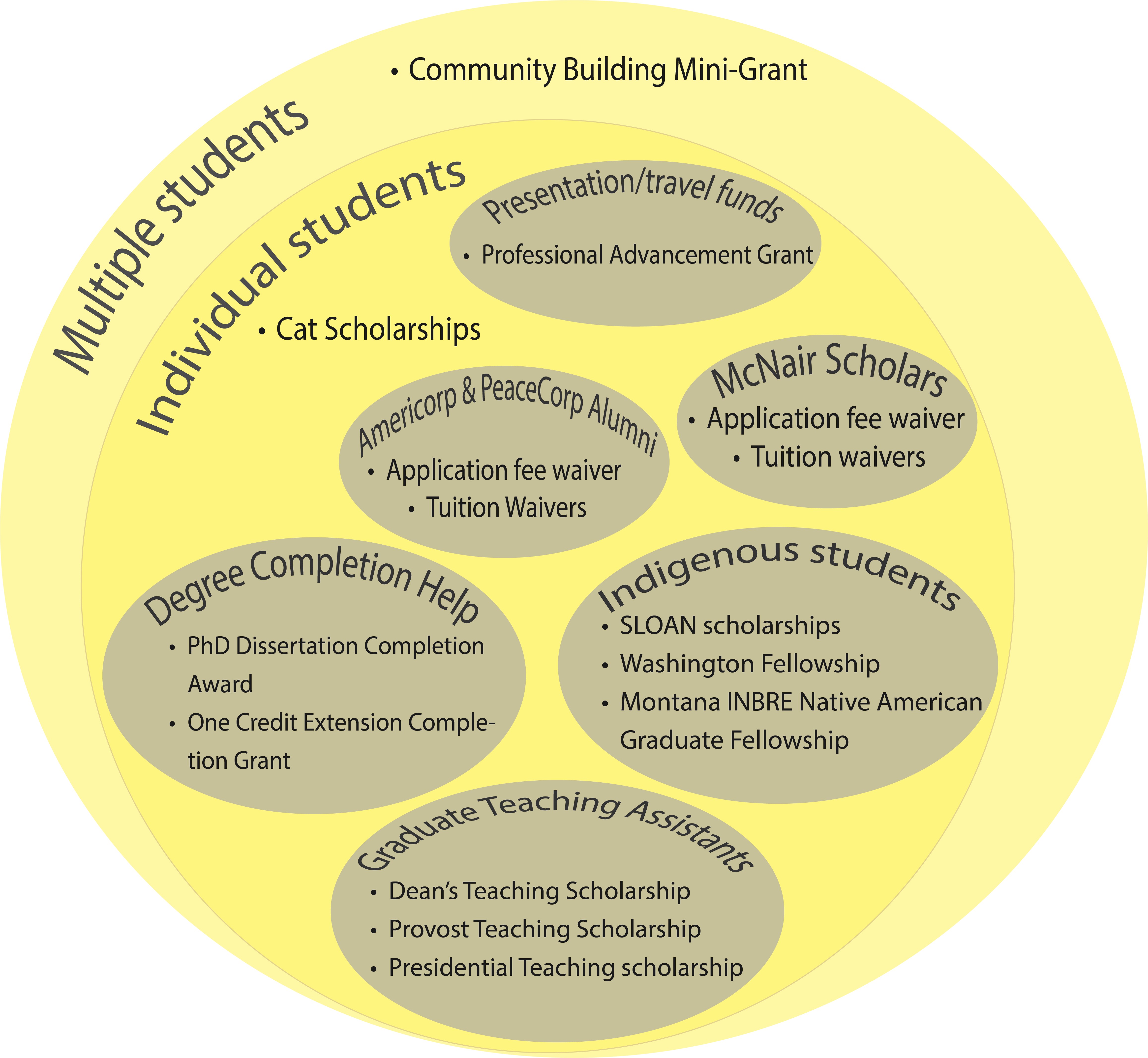 A graphic for student-initiated funding opportunities