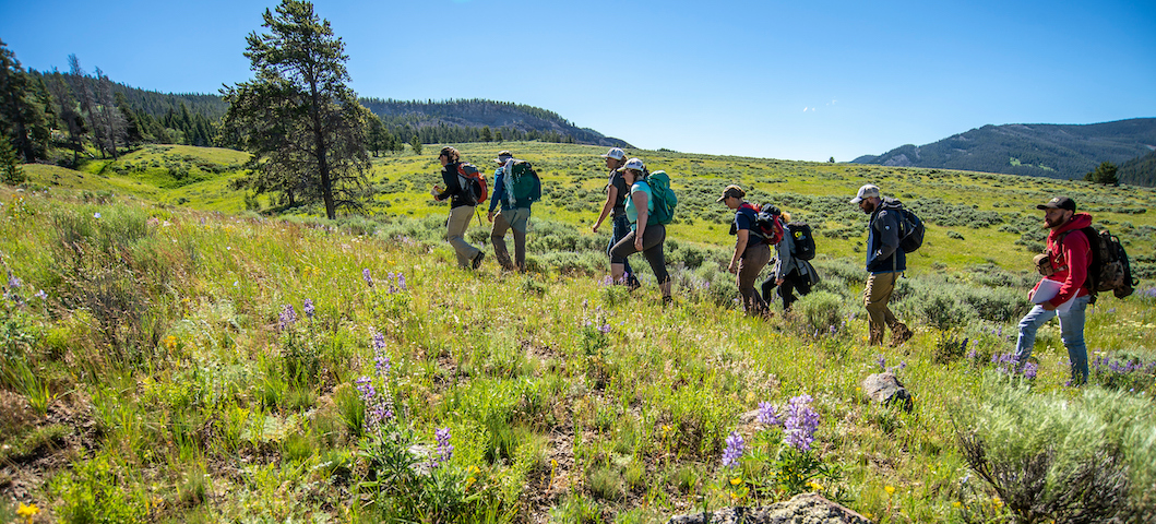 students hiking on a hill with wildflowers