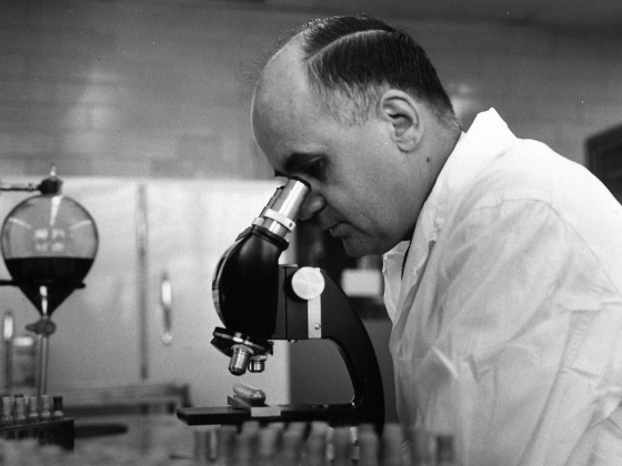 Maurice Hilleman in a lab coat looks into a microscope.