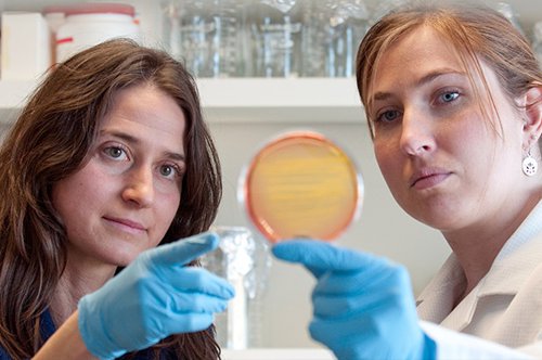 two women in lab coats looking at petri dish