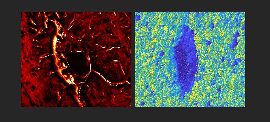 Scanning nano Auger (left) and atomic force microscopy (right) images of osteocytes.