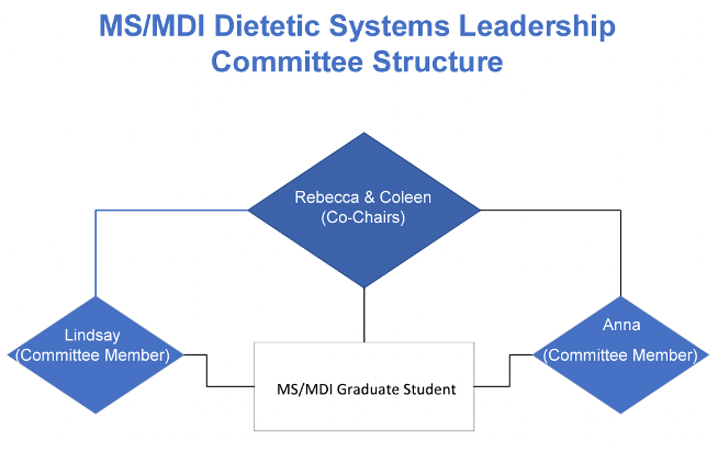 MS MSI DSL Committee Structure