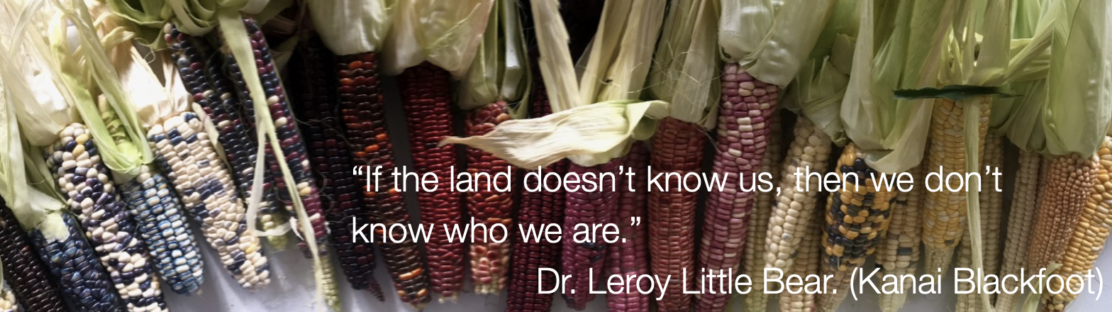 Colorful Indigenous corn with words, "“If the land doesn’t know us, then we don’t  know who we are.” Dr. Leroy Little Bear. (Kanai Blackfoot)"