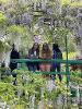 Madi Bierer and Denali Smith pose in Monet's Garden.