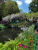 Famous bridge in Monet's Garden.