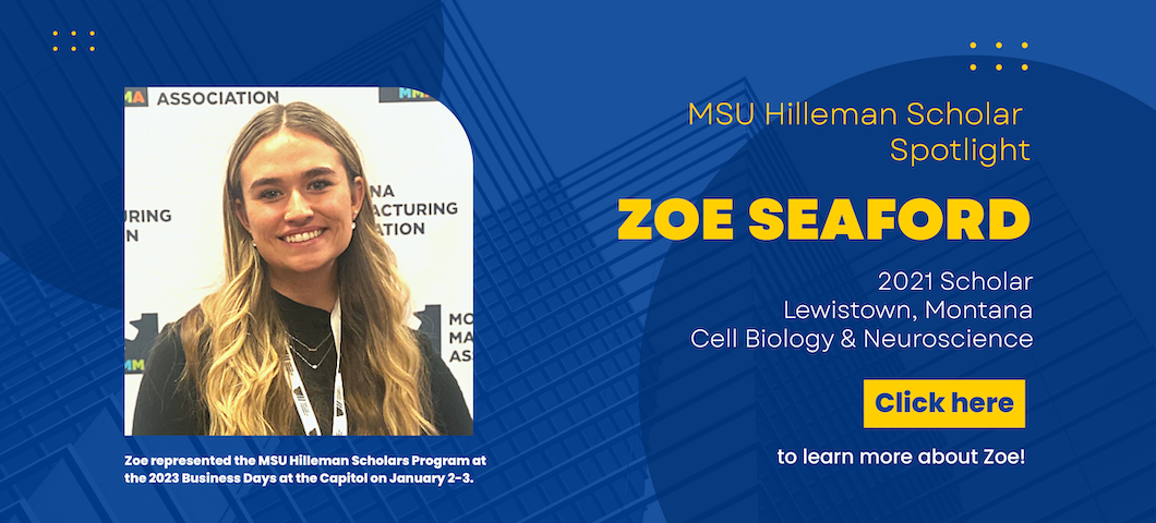 Learn more about Zoe Seaford!