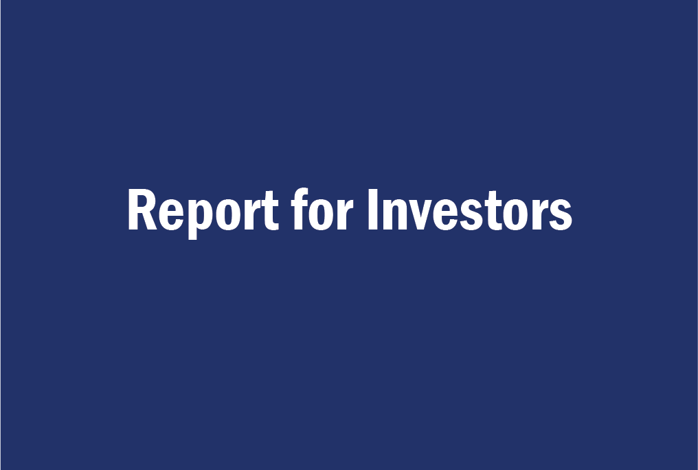 Investors Report