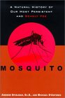 Mosquito