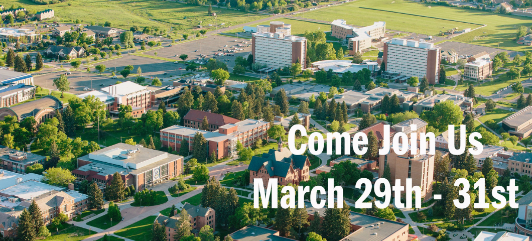 Aerial shot of MSU Campus 