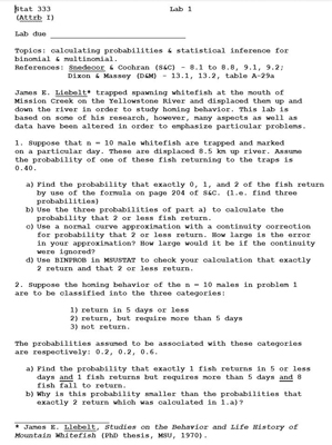Modular course 333 Lab problem page 1